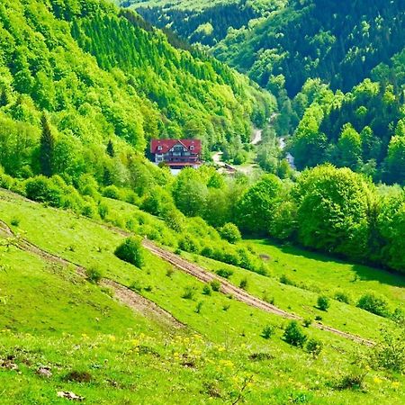 Cabana Izvoarele Doftanei Trăisteni Εξωτερικό φωτογραφία